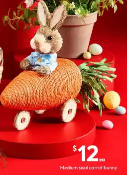 Target Medium sisal carrot bunny offer