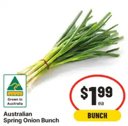 IGA Australian Spring Onion Bunch offer