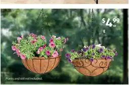 ALDI Hanging Basket with Liner offer