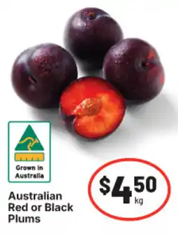 IGA Australian Red or Black Plums offer