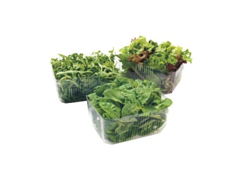 Foodworks Baby spinach, rocket & mesculin salad mixes 100g offer