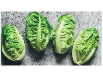 Foodworks Pre-packed baby cos lettuce twin pack offer