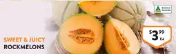 Foodworks Sweet & juicy rockmelons offer