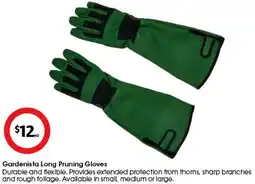 Coles Gardenista Long Pruning Gloves offer