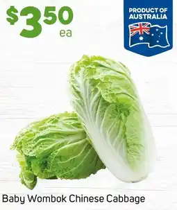 Foodland Baby Wombok Chinese Cabbage offer