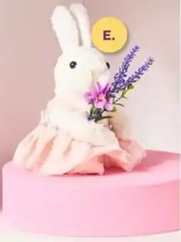 The Reject Shop small bunny with skirt offer