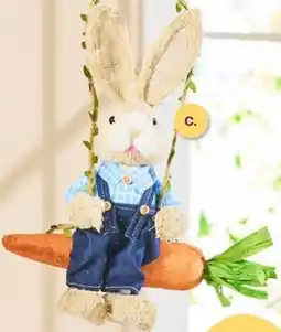 The Reject Shop Bunny on carrot swing offer