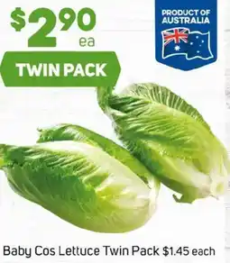 Foodland Baby Cos Lettuce offer