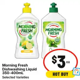 IGA Morning Fresh Dishwashing Liquid offer
