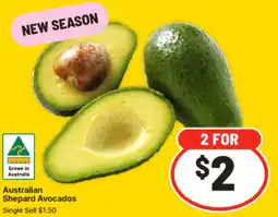 IGA Australian Shepard Avocados offer