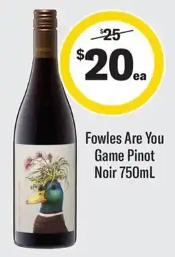 Coles Fowles Are You Game Pinot Noir offer