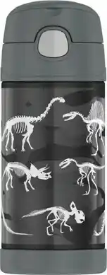 Thermos Funtainer Drink Bottle 355ml - Dinosaurs