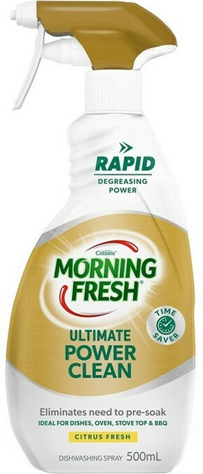 BIG W Morning Fresh Dishwashing Spray 500ml offer