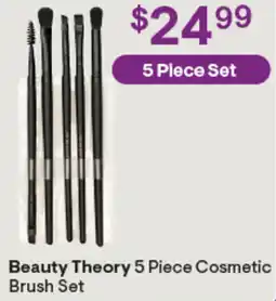 Discount Drug Stores Beauty theory cosmetic brush set offer