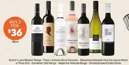 Foodland or Pinot Gris - Dandelion Still Range - Nepenthe Altitude Range - Shottesbrooke Estate offer
