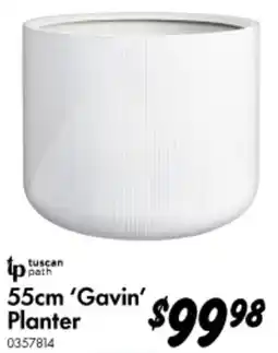 Bunnings 'Gavin' Planter offer