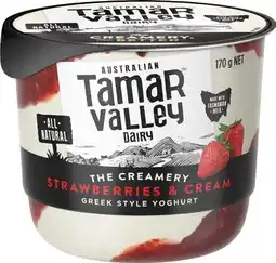 IGA Tamar Valley Greek Style Yoghurt Selected Varieties offer