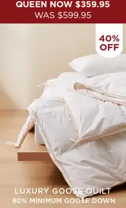 Bed Bath N' Table Luxury goose quilt offer