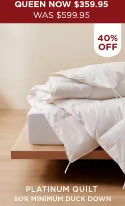 Bed Bath N' Table Platinum quilt offer