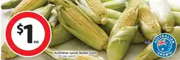 Coles Australian Loose Sweet Corn offer