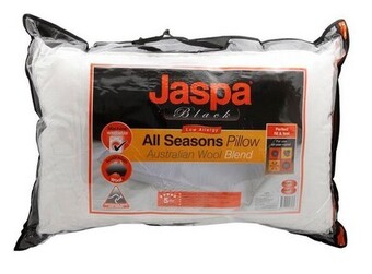 Spotlight 30% off Jaspa All Seasons Pillow offer