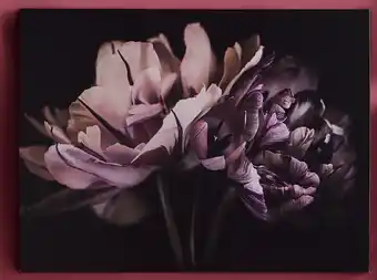 Spotlight 30% off Canvas Purple Romance 60 x 80cm offer