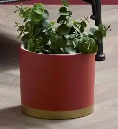 Spotlight 40% off Planter Pot offer