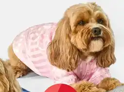 Kmart Pet Satin Stripe Pyjamas Medium Pink offer