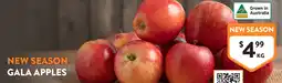 Foodworks Gala apples offer