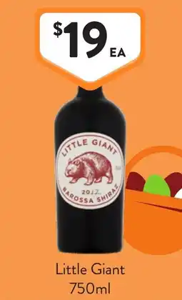 Foodworks Little Giant offer