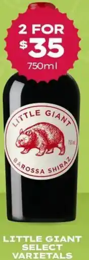 Thirsty Camel Little giant offer