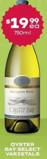 Thirsty Camel Oyster bay offer