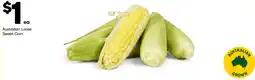 Woolworths Australian Loose Sweet Corn offer