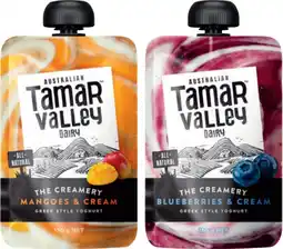 IGA NEW Tamar Valley Dairy Yoghurt Pouches Selected Varieties offer
