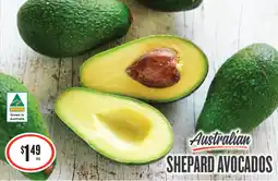 IGA Shepard avocados offer