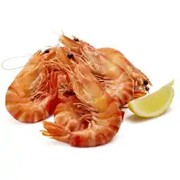 Woolworths Australian Fresh Extra Large Cooked Tiger Prawns offer