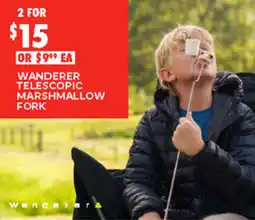 BCF Wanderer telescopic marshmallow fork offer