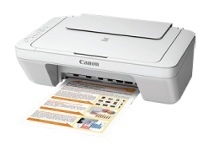 Canon Pixma MG2560 All-in-One Printer