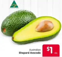 Spar Australian Shepard Avocado offer