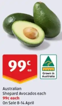 ALDI Australian Shepard Avocados offer