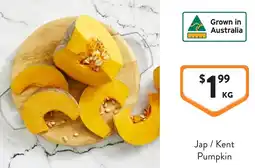 Foodworks Jap / Kent Pumpkin offer