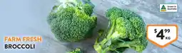 Foodworks Farm fresh broccoli offer