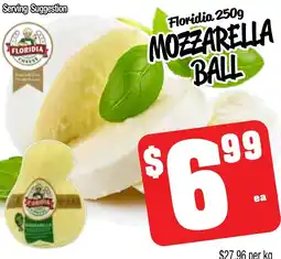 Farmer Jack's Floridia mozzarella ball offer