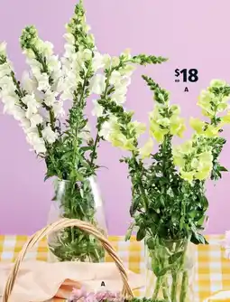 ALDI Beautiful Blooms Fresh Flowers Festive Bunch offer