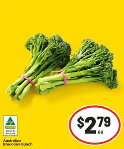 IGA Broccolini Bunch offer