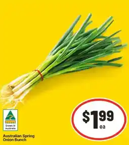 IGA Spring Onion Bunch offer