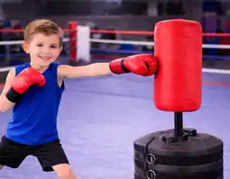 Toymate Pro Strike Pro Freestanding Trainer Set offer