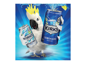 Foodland Kirks 10 x 375ml offer