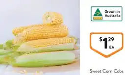 Foodworks Sweet Corn Cobs offer