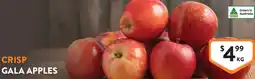 Foodworks Crisp gala apples offer
